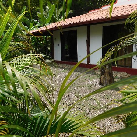 Villas Jungle 5 Sámara Buitenkant foto