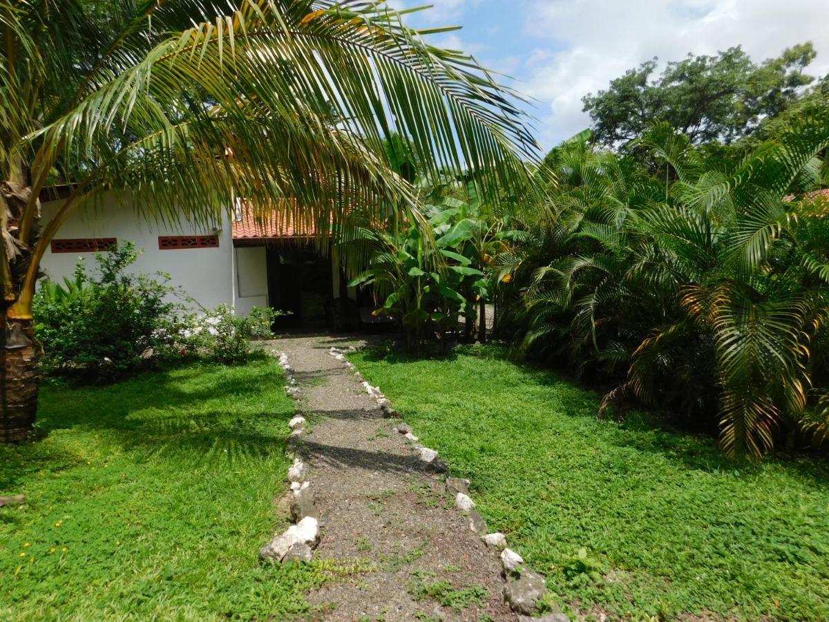 Villas Jungle 5 Sámara Buitenkant foto
