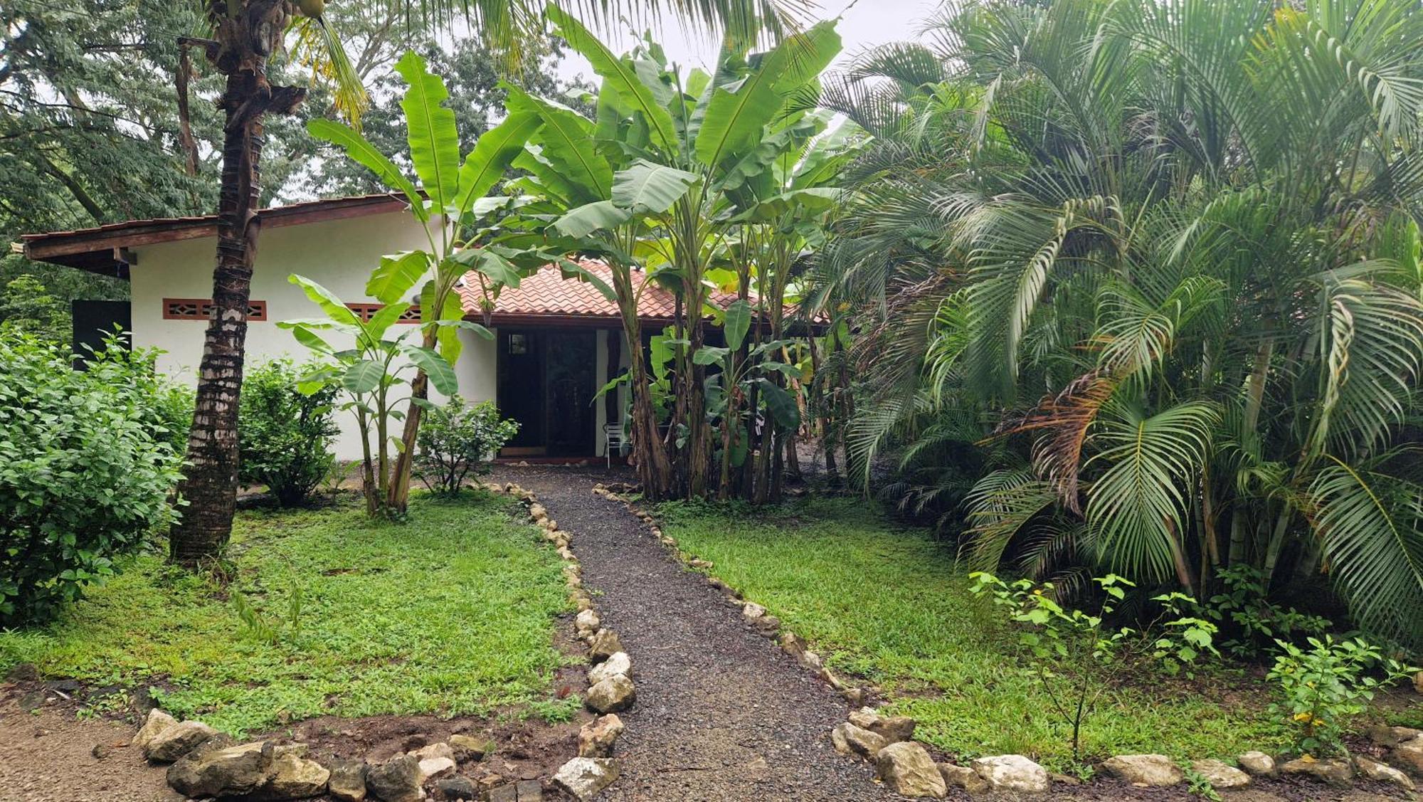 Villas Jungle 5 Sámara Buitenkant foto