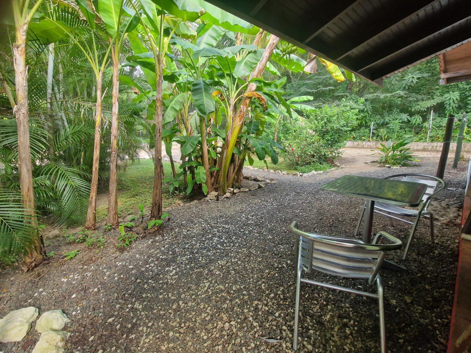 Villas Jungle 5 Sámara Buitenkant foto